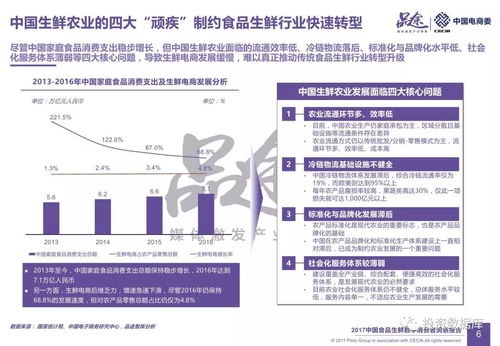 2017中国食品生鲜数字消费者洞察报告 从数据中洞察新消费趋势